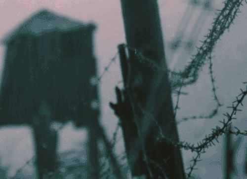 Scary Facts (15 gifs) Scary Facts (15 gifs)