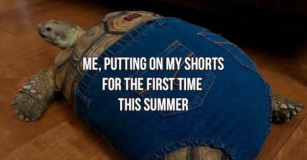 Summer Memes (26 pics)