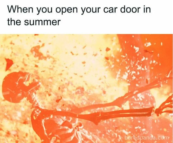 Summer Memes (26 pics)