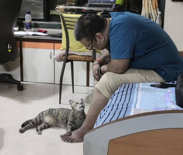 Men Who Refused To Have Pets (20 pics)