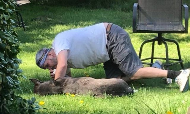 Men Who Refused To Have Pets (20 pics)