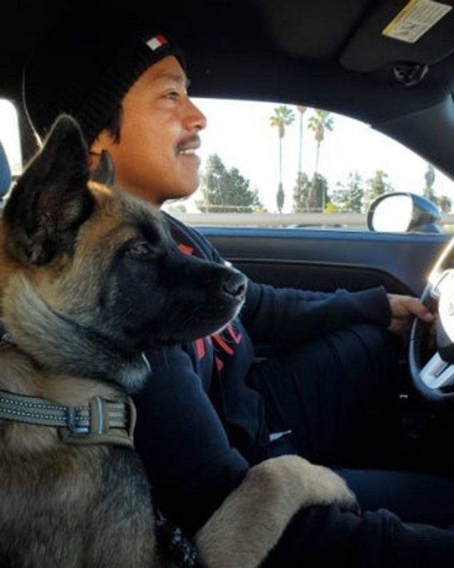 Men Who Refused To Have Pets (20 pics)