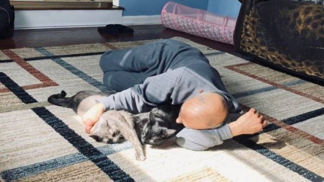 Men Who Refused To Have Pets (20 pics)