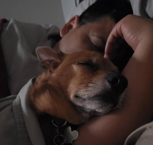 Men Who Refused To Have Pets (20 pics)