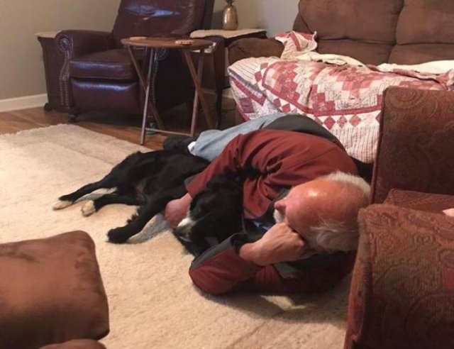 Men Who Refused To Have Pets (20 pics)