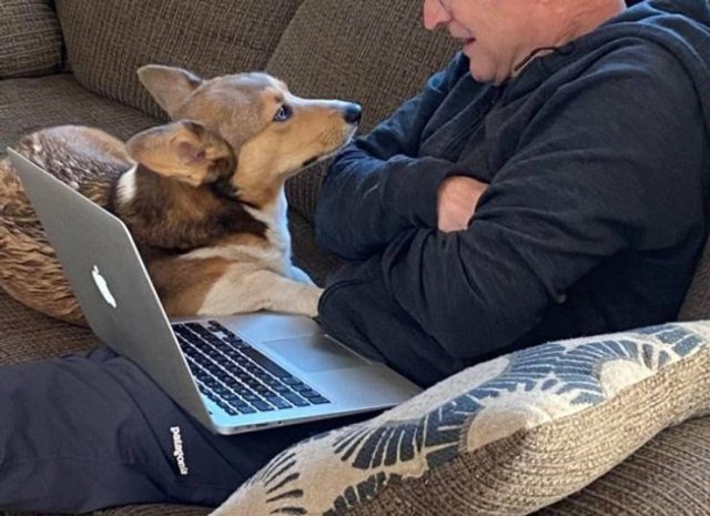 Men Who Refused To Have Pets (20 pics)