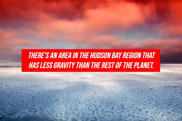 Facts About Canada (20 pics)