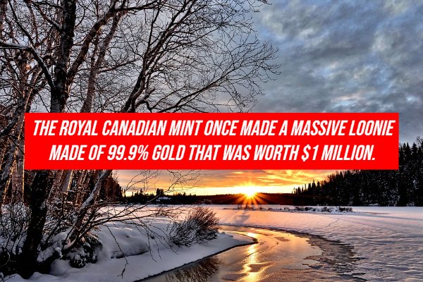 Facts About Canada (20 pics)