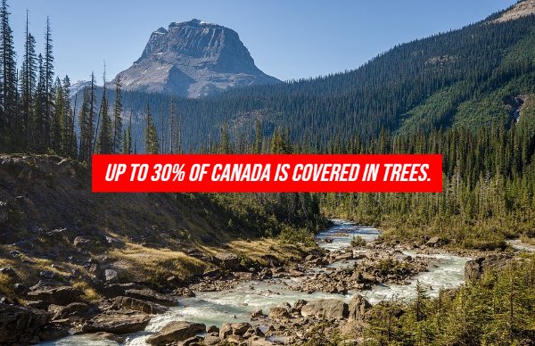 Facts About Canada (20 pics)