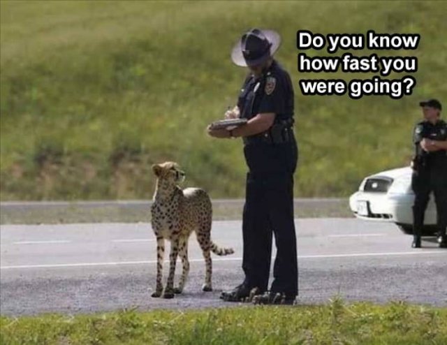 Acid Picdump 2 (82 pics)