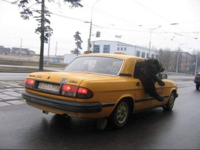 Acid Picdump 1 (84 pics)