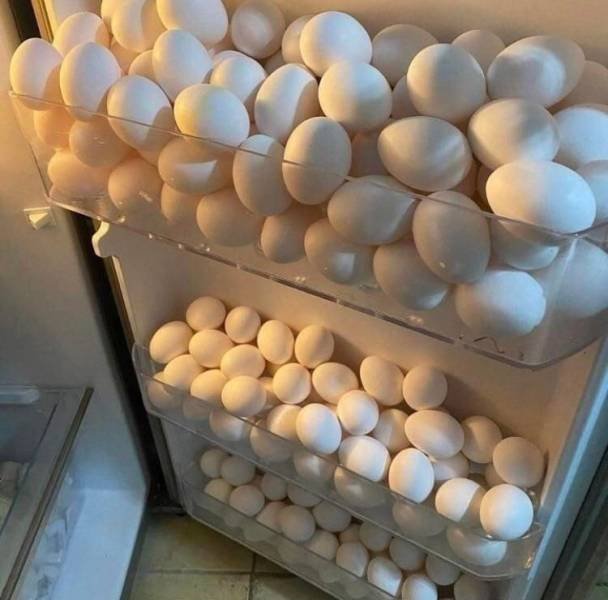 Acid Picdump 1 (84 pics)