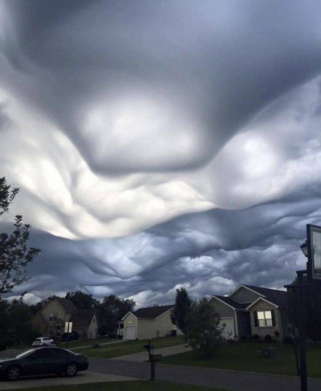 Acid Picdump 1 (84 pics)