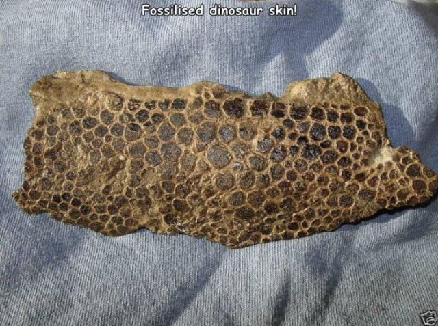 Acid Picdump 1 (84 pics)