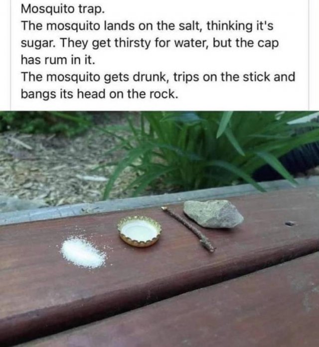 Acid Picdump 1 (84 pics)