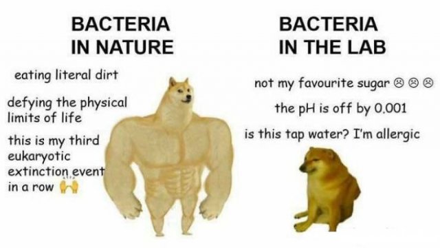 Science Memes (43 pics)