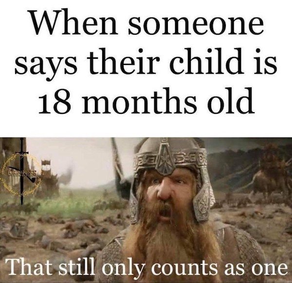 LOTR Memes (40 pics)