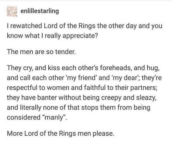 LOTR Memes (40 pics)