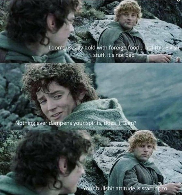 LOTR Memes (40 pics)