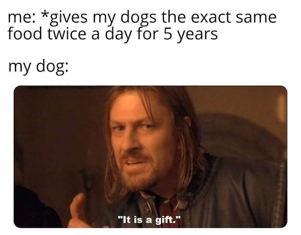 LOTR Memes (40 pics)