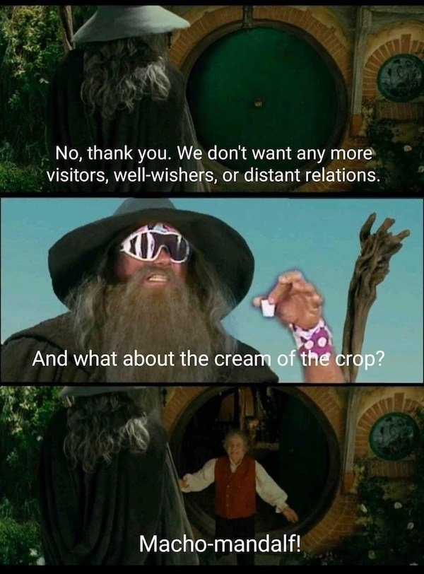 LOTR Memes (40 pics)