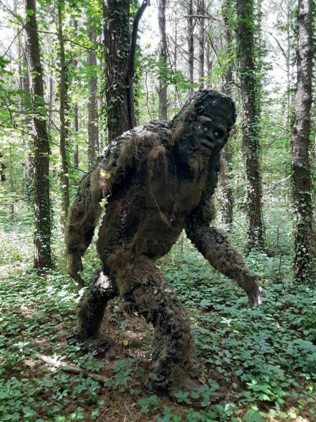 Acid Picdump 2 (82 pics)