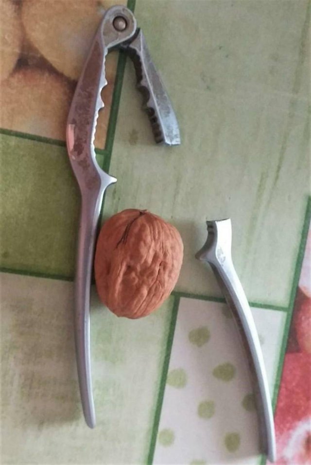 Acid Picdump 2 (82 pics)
