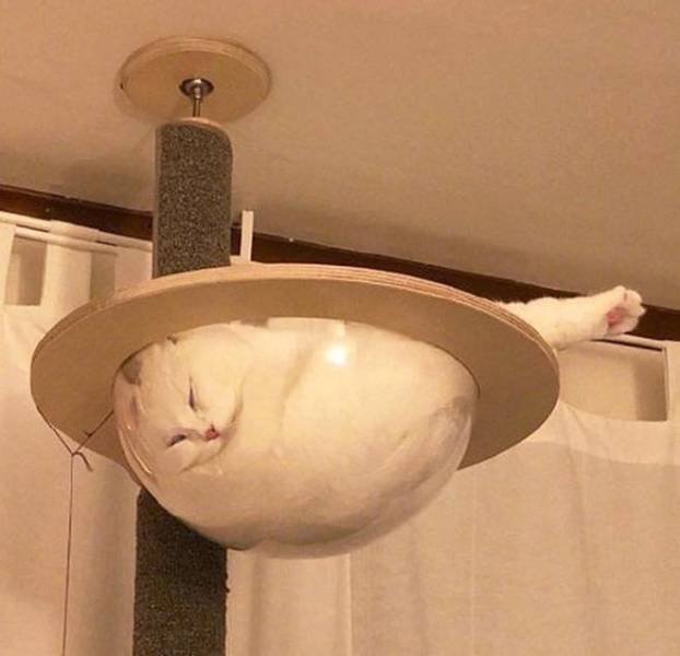 Acid Picdump 2 (82 pics)