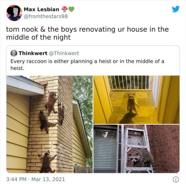 Funny Tweets (41 pics)