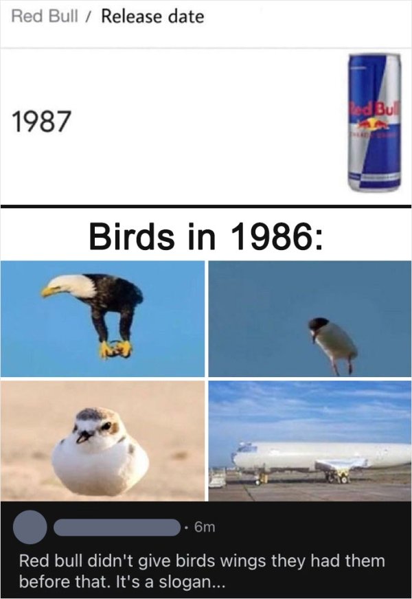 Where Is Logic? (28 pics)