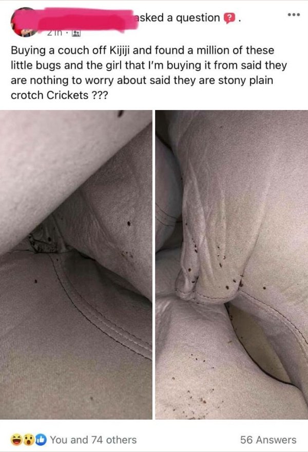 These People Know How To Sell (34 pics)