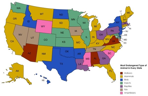 Interesting Data (27 pics)