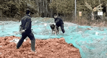 Acid Gifdump, July 1 (25 gifs)