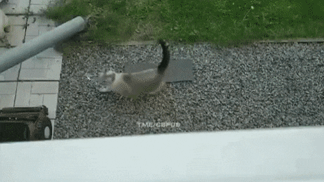 Acid Gifdump, July 1 (25 gifs)