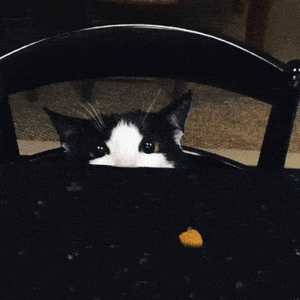 Acid Gifdump, July 1 (25 gifs)