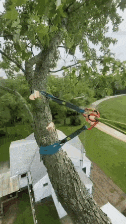 Acid Gifdump, July 1 (25 gifs)