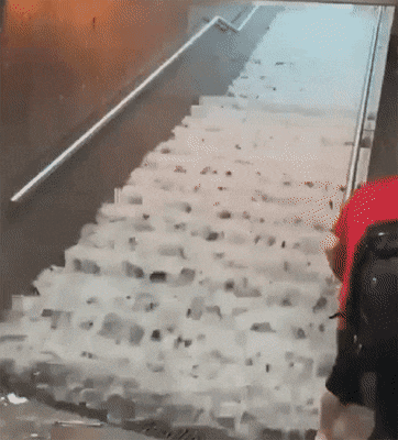 Acid Gifdump, July 1 (25 gifs)