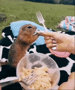 Acid Gifdump, July 1 (25 gifs)
