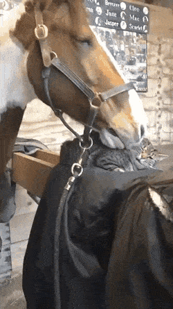 Acid Gifdump, July 1 (25 gifs)