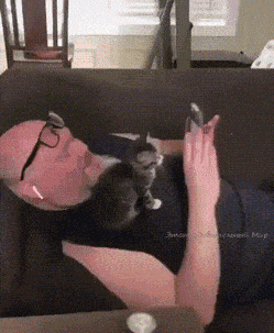 Acid Gifdump, July 1 (25 gifs)