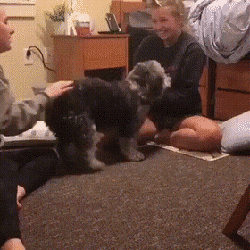 Acid Gifdump, July 2 (25 gifs)