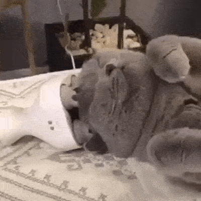 Acid Gifdump, July 2 (25 gifs)