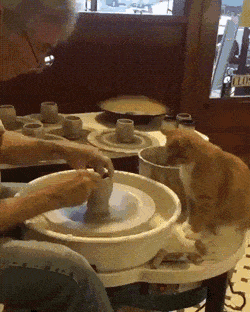 Acid Gifdump, July 2 (25 gifs)