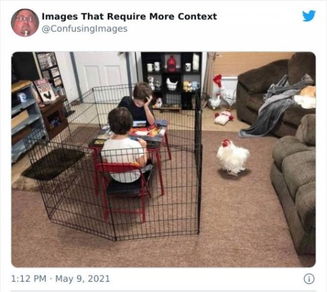 Explanation Needed (30 pics)