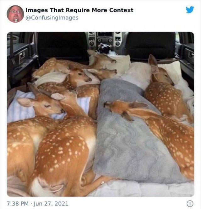 Explanation Needed (30 pics)