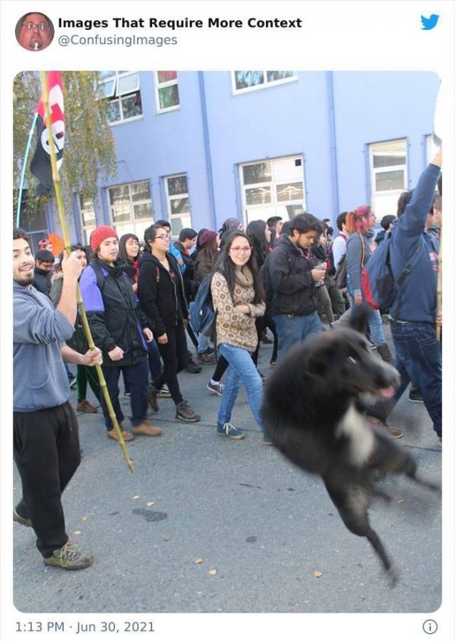 Explanation Needed (30 pics)