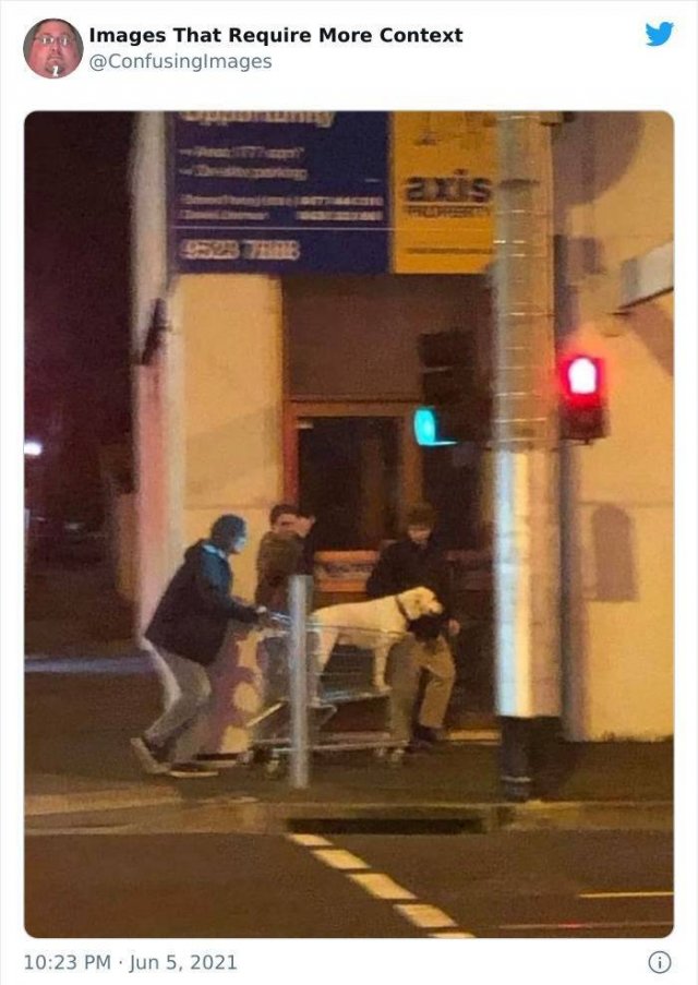 Explanation Needed (30 pics)