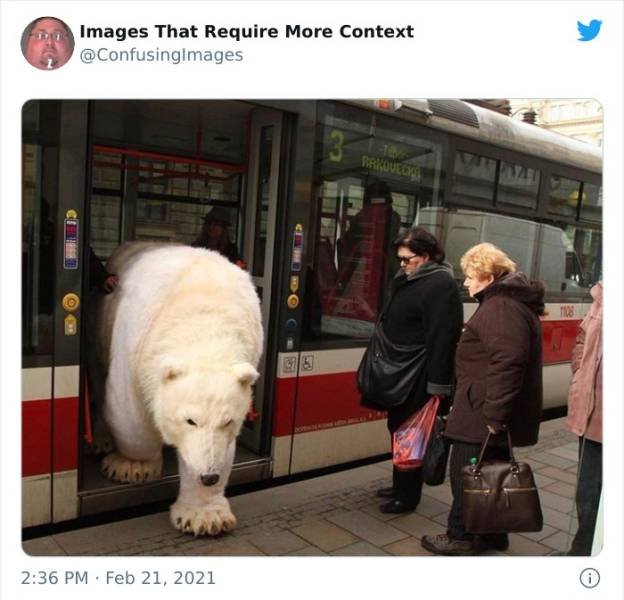 Explanation Needed (30 pics)