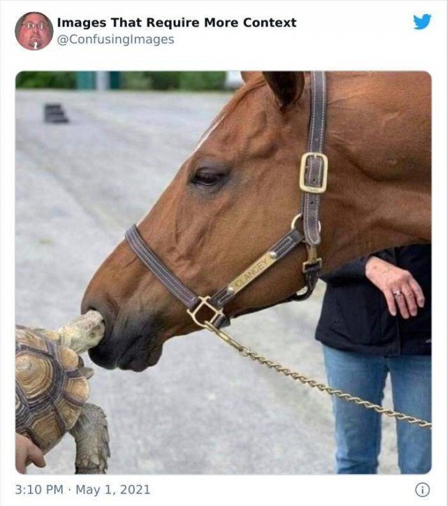Explanation Needed (30 pics)