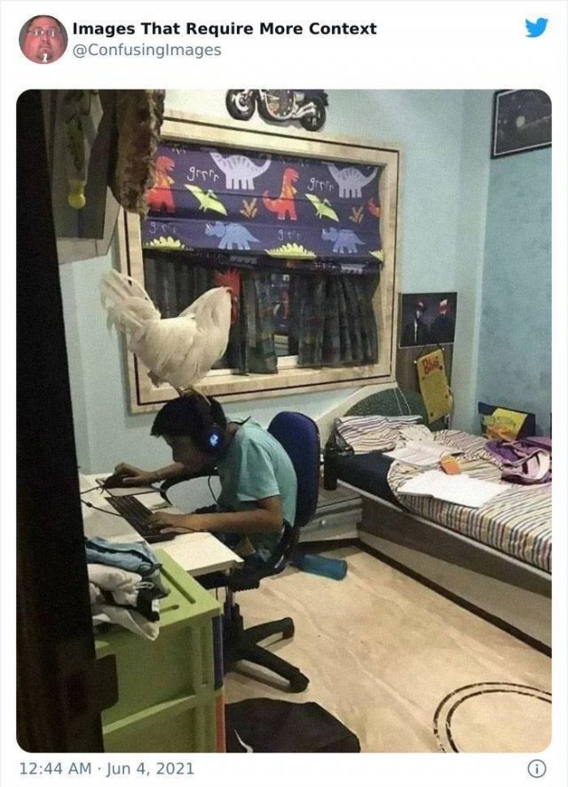 Explanation Needed (30 pics)